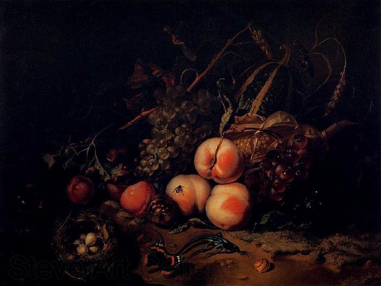 Rachel Ruysch Still-Life with Fruit and Insects France oil painting art